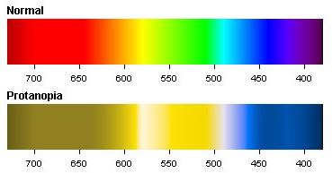 Protanopia-Color-Spectrum