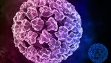 What is HPV virus? How many strains are there?