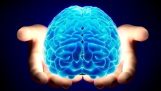 Brain pressure: Dangerous disease – How should it be treated?